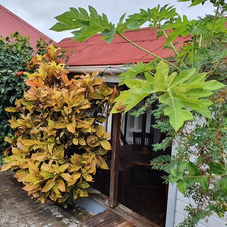 Vila Chez Gisele Et Philippe Jardin Terre-De-Haut Exteriér fotografie