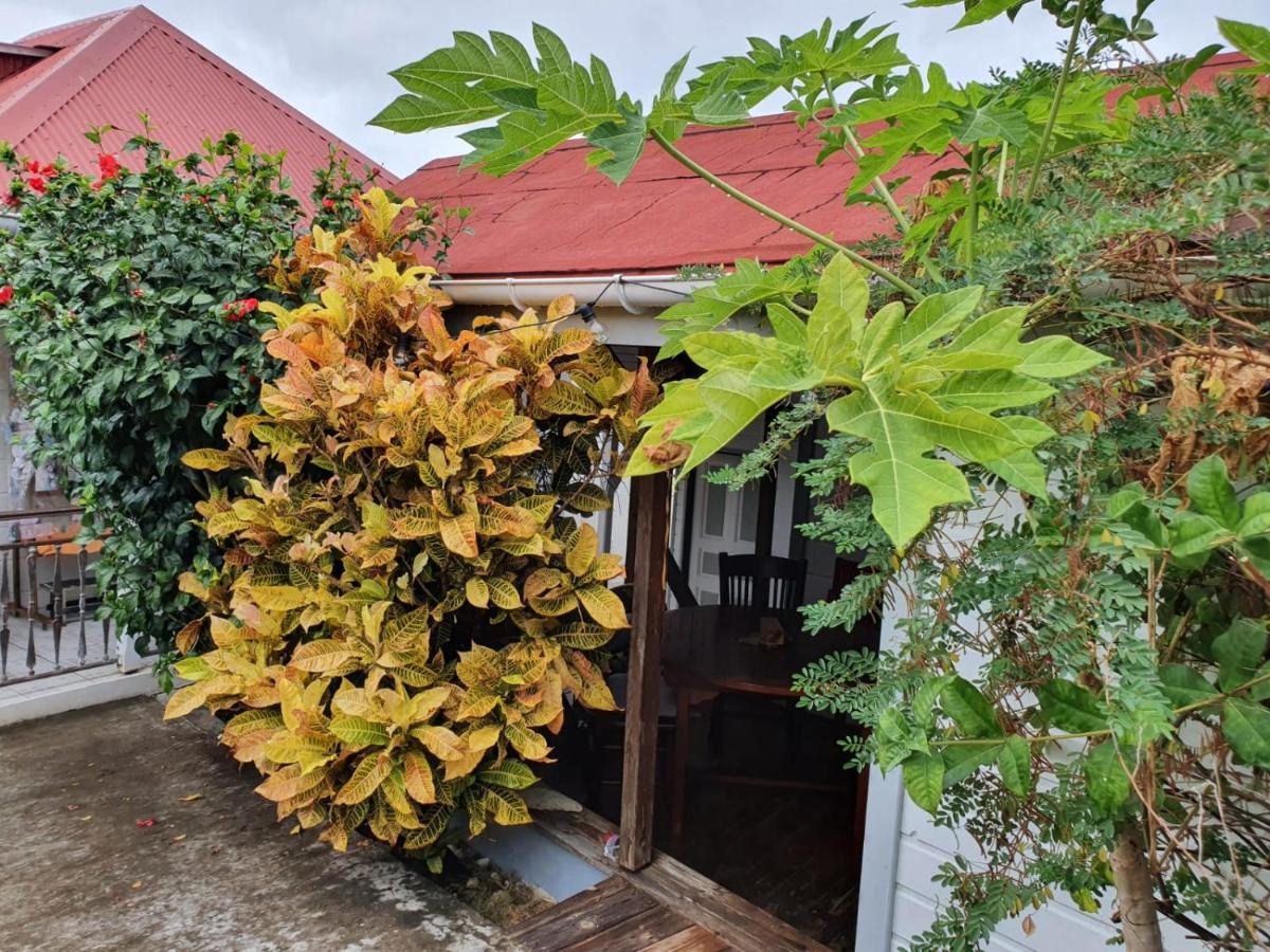 Vila Chez Gisele Et Philippe Jardin Terre-De-Haut Exteriér fotografie